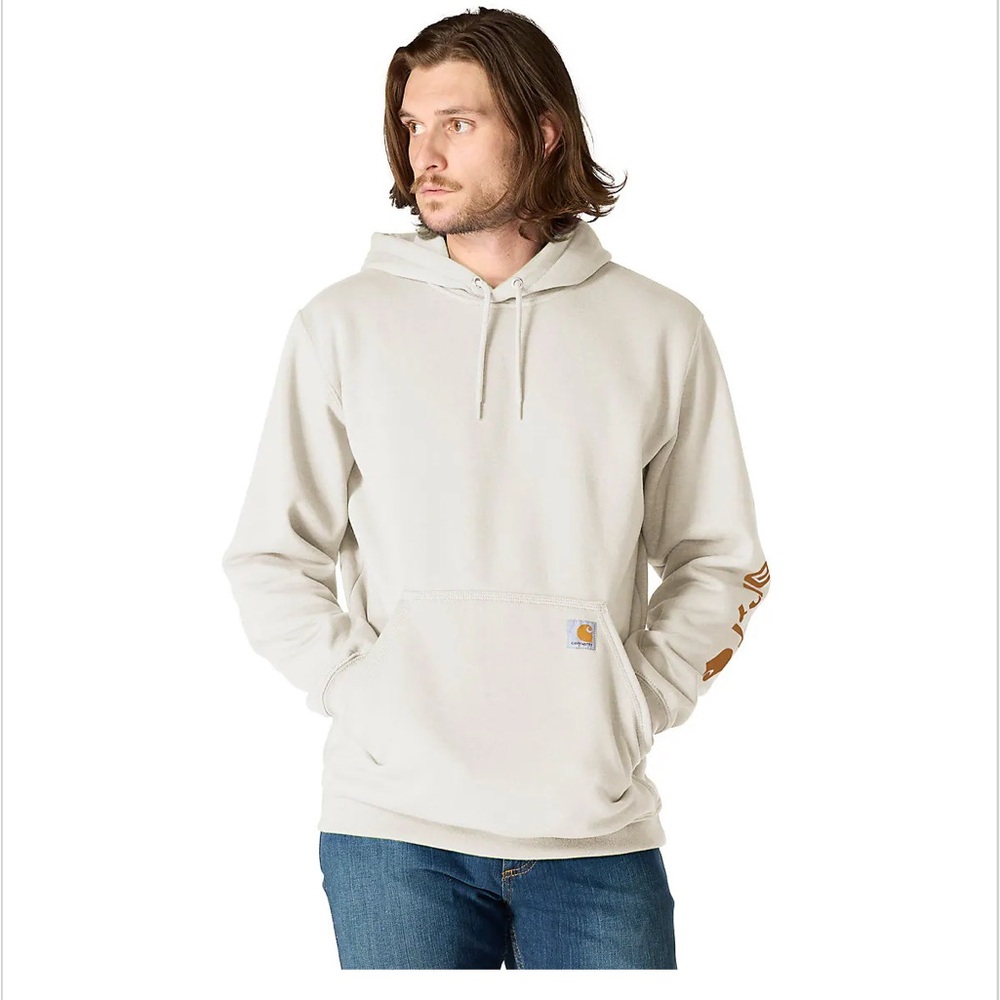 Carhartt loose fit mid weight graphic hoodie